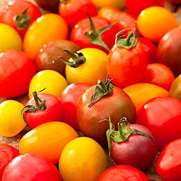 Tomate cerise mix 500 gr